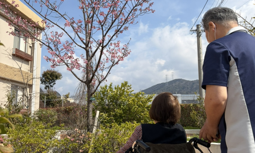 いずみブログ-庭に春の便り