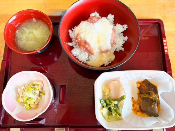マグロの山掛け丼、エビ団子と野菜のコンソメ煮、茄子のしぎ焼き、ビーンズサラダ